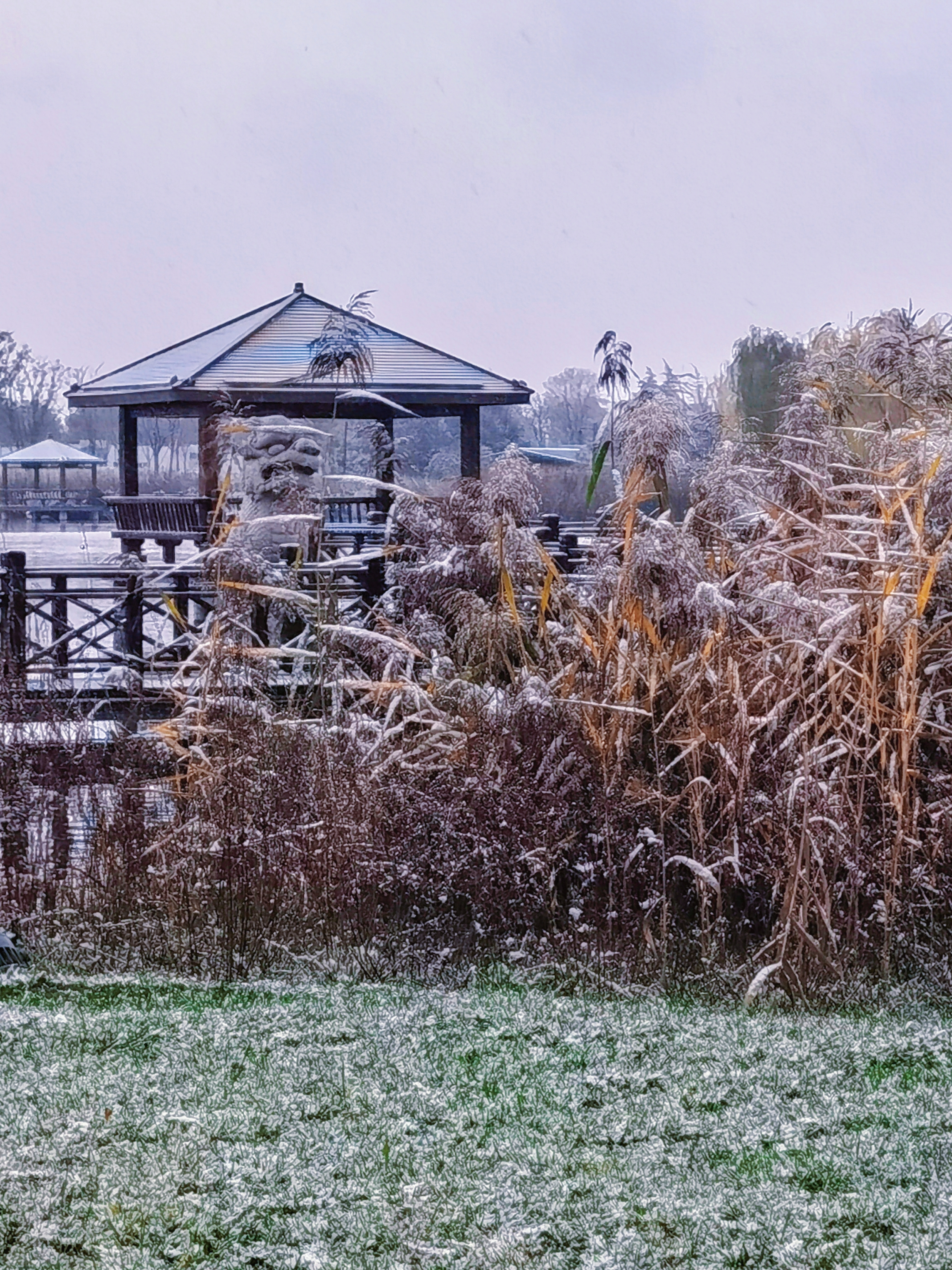 10907962769917814336(1).jpg 10907962769917814336(1).jpg