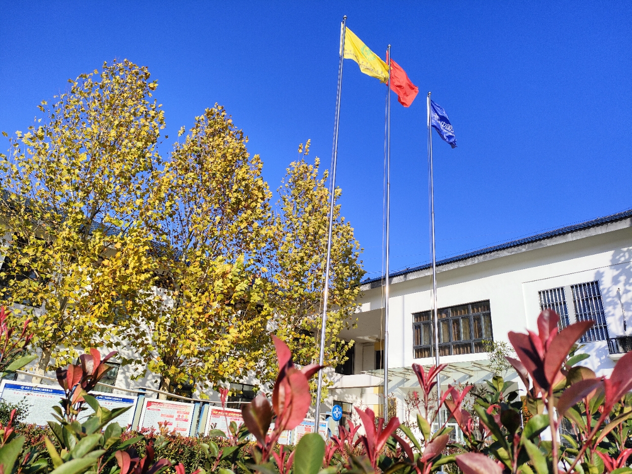 IMG20241130152514.jpg IMG20241130152514.jpg