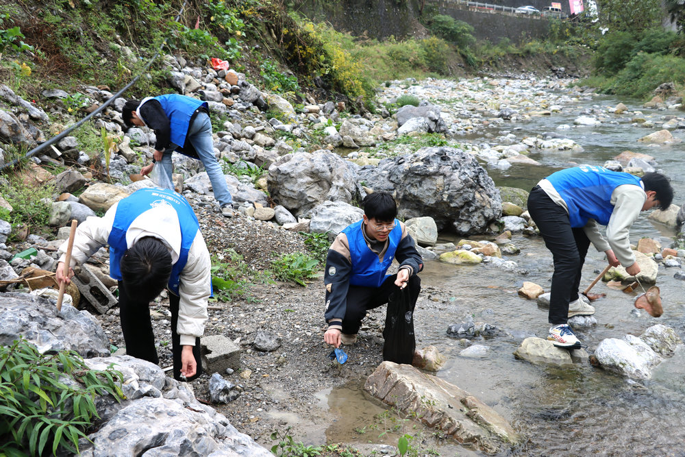 IMG_2347.JPG IMG_2347.JPG