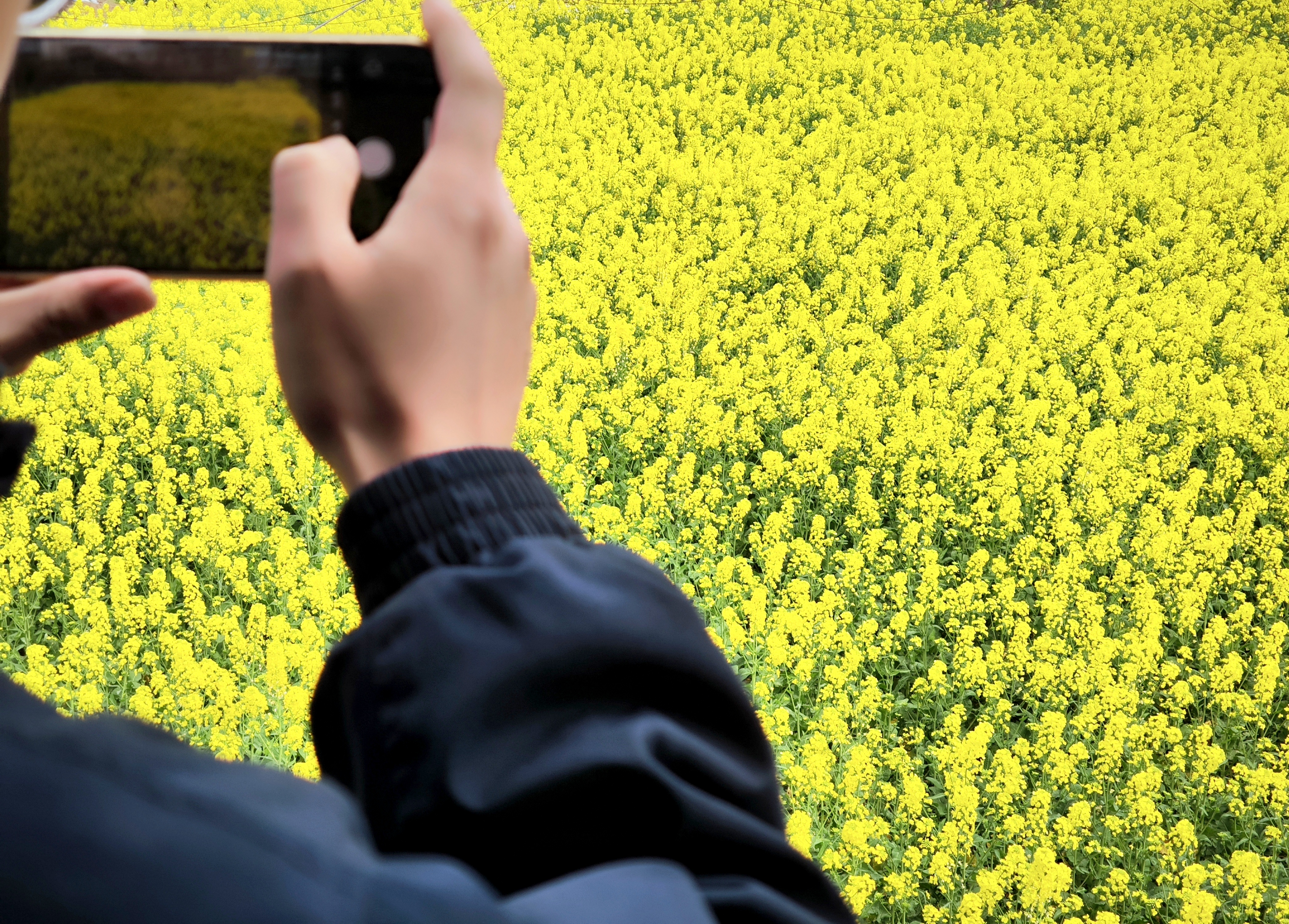 5d85a4534c94c0654cd693035e9c449.jpg 5d85a4534c94c0654cd693035e9c449.jpg