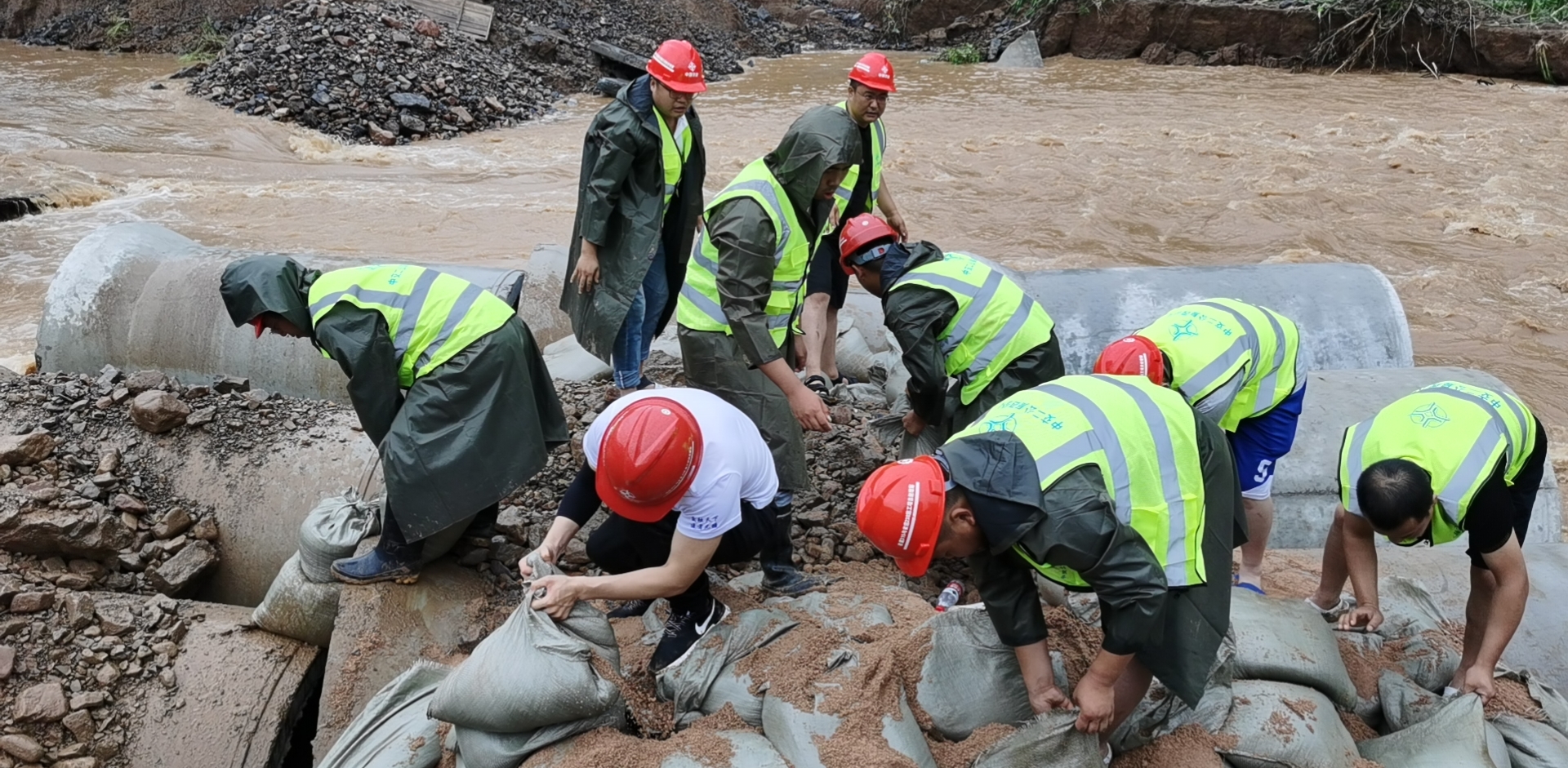 mmexport1626866629382.jpg mmexport1626866629382.jpg