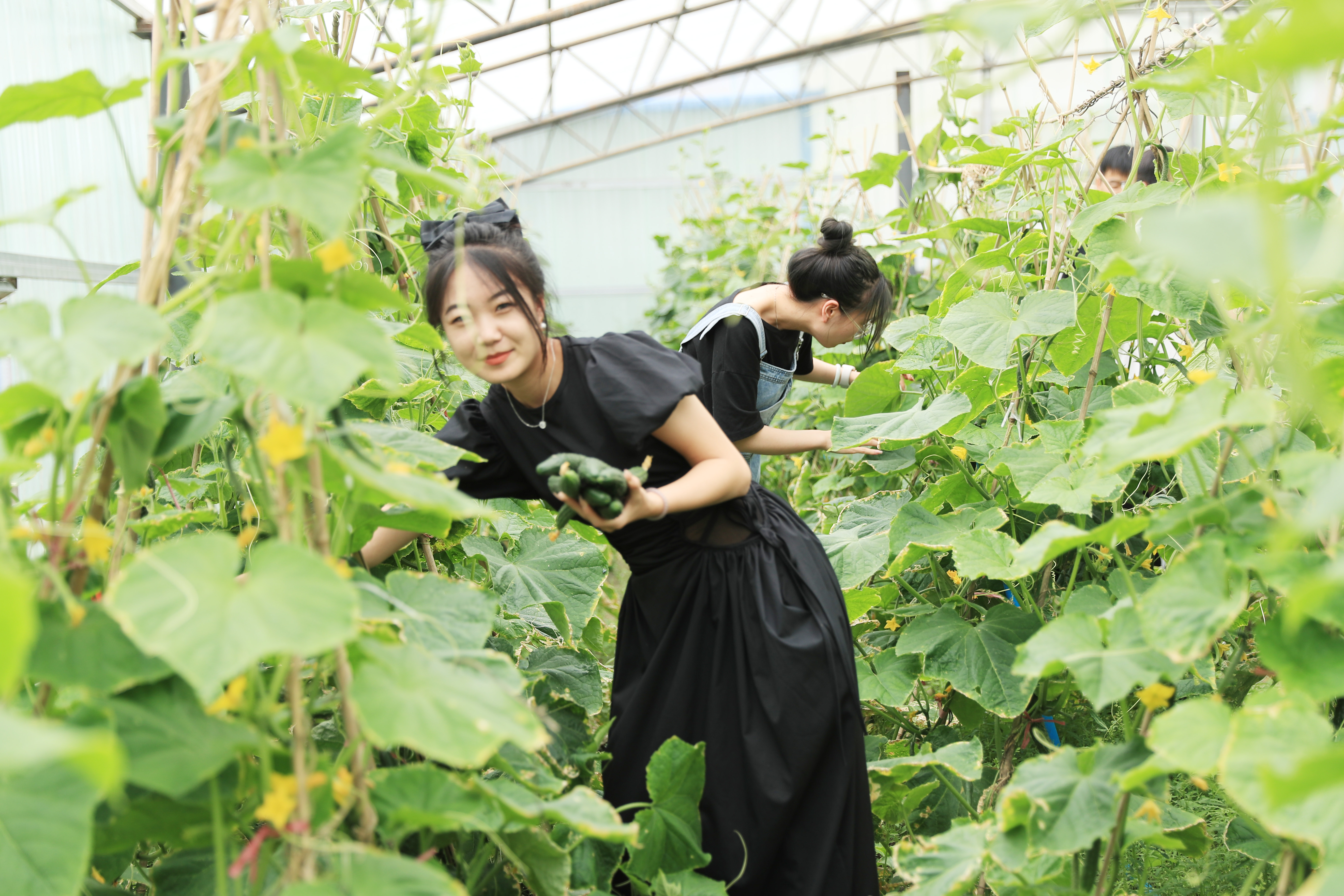 AE4I8277.JPG AE4I8277.JPG