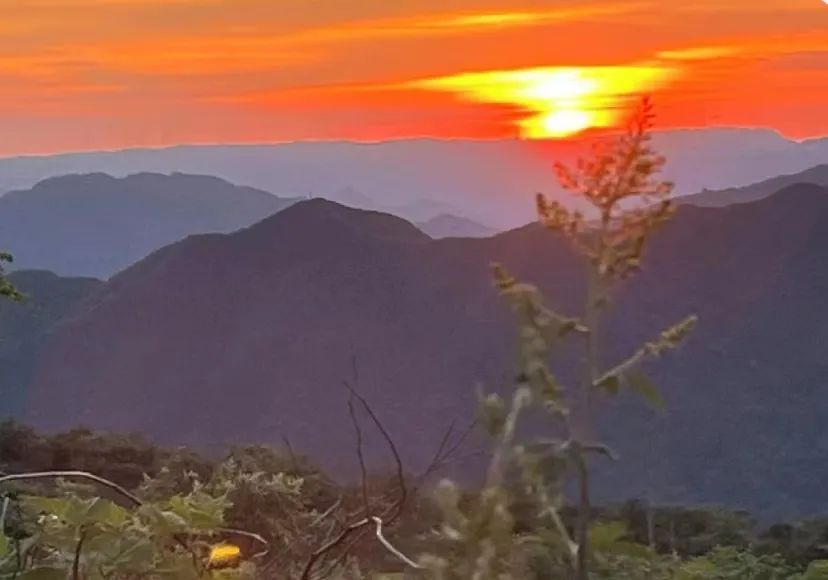 640 (4).jpg 640 (4).jpg