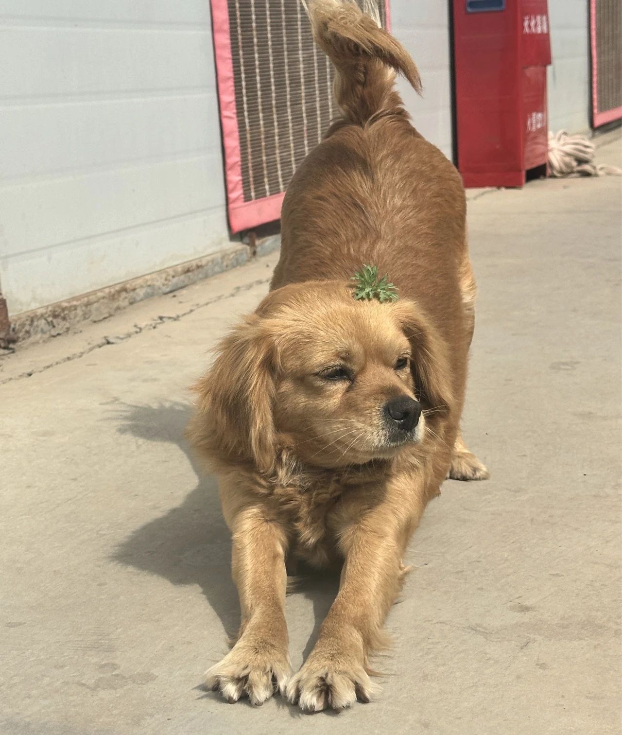 微信圖片_20240429094817.jpg 微信圖片_20240429094817.jpg