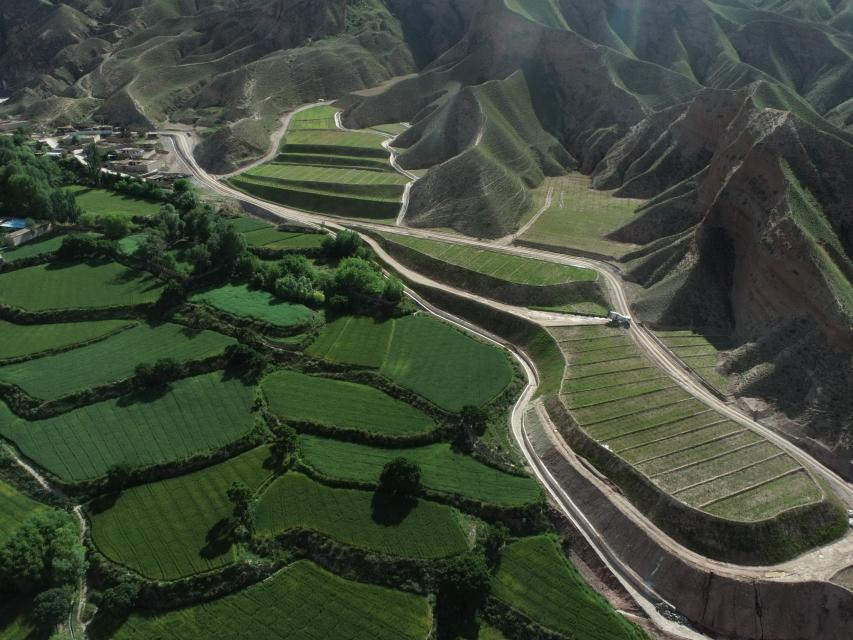 復(fù)耕后.png 復(fù)耕后.png