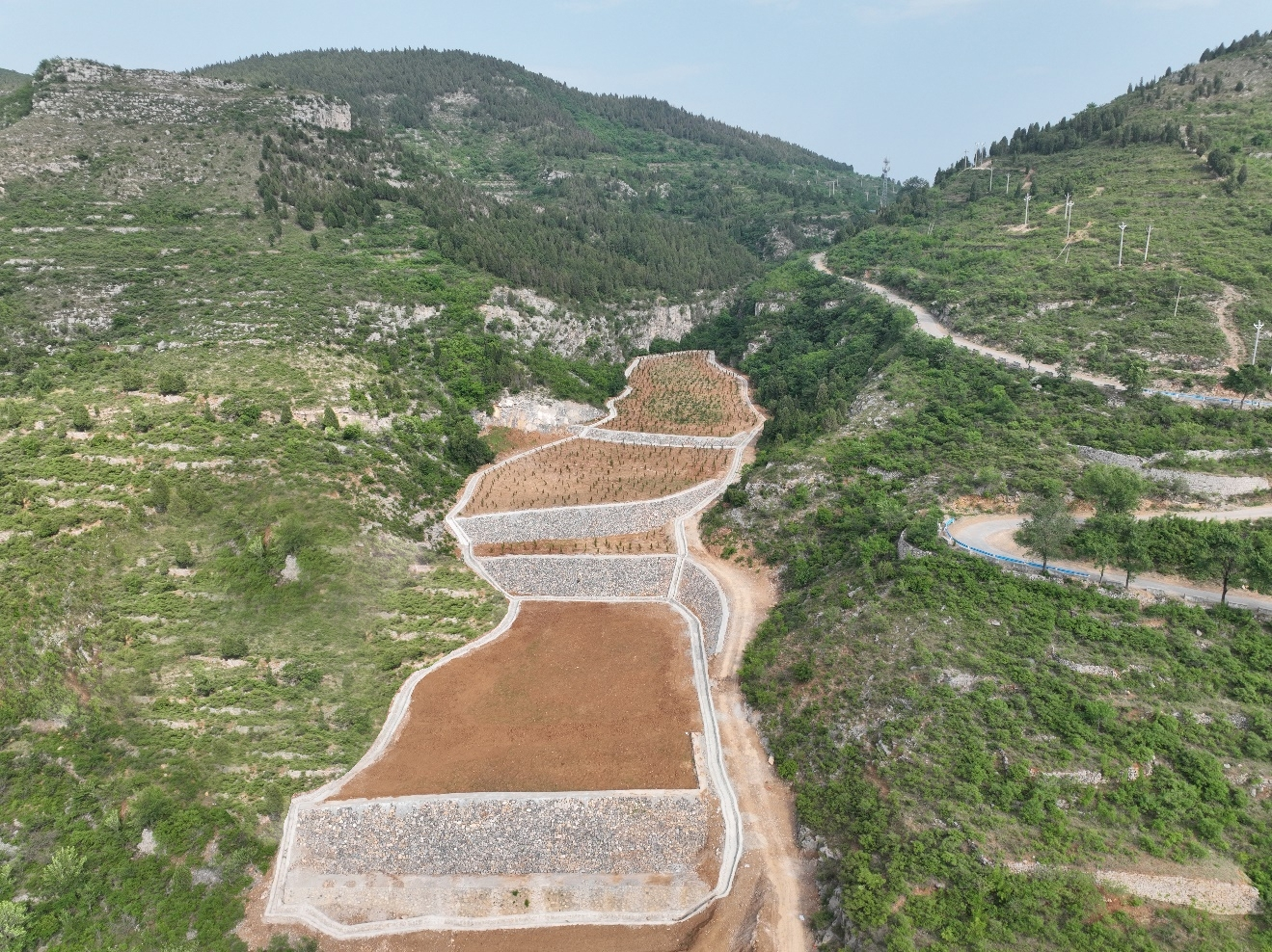 圖片.png 圖片.png